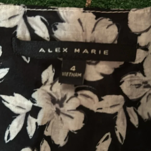 Alex Marie Dress New with tag! - Picture 3 of 5